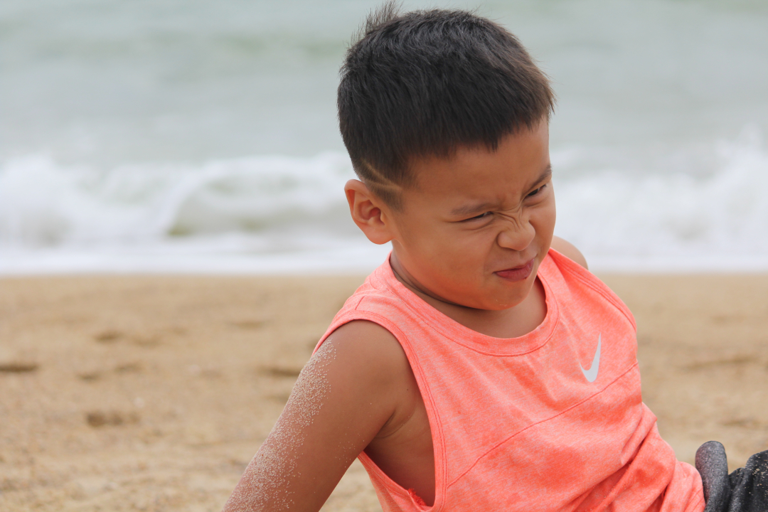 Windows of a building in Nuremberg, Germany